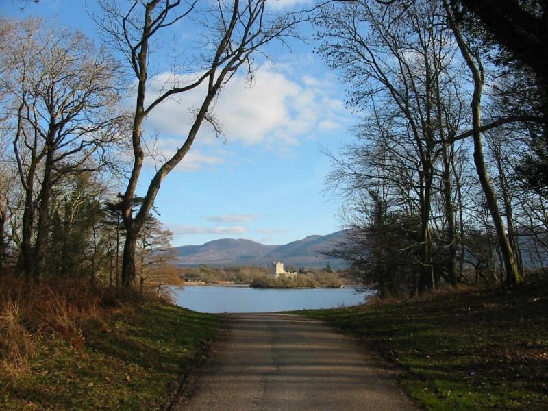 Crystal Springs B&B Киларни Екстериор снимка